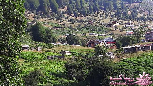 .:آلبوم عکسهای خودگرفته ما:.